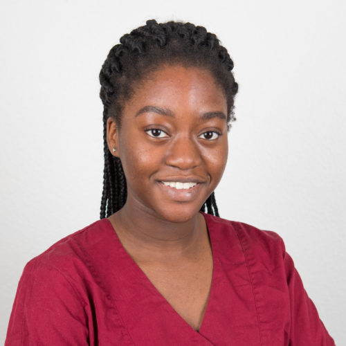 Frau Ofori